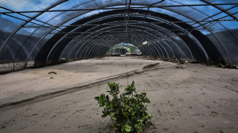 Παρατείνεται η προθεσμία υποβολής αιτήσεων για θερμοκήπια και στέγαστρα φυτικής παραγωγής