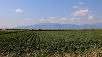 Πληρωμές ΟΠΕΚΕΠΕ: 260 εκατ. έως τέλος Μαΐου - Πιστώνονται 120 εκατ. τη Μεγάλη Τετάρτη