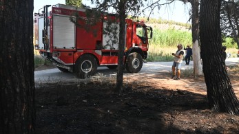 Πολιτική Προστασία: Πολύ υψηλός κίνδυνος πυρκαγιάς το Σάββατο σε Αττική, Πελοπόννησο, Δυτική και Στερεά Ελλάδα Πολιτική Προστασία: Πολύ υψηλός κίνδυνος πυρκαγιάς το Σάββατο σε Αττική, Πελοπόννησο, Δυτική και Στερεά Ελλάδα