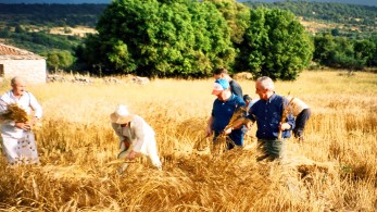 Κυρώσεις σε φορέα πιστοποίησης βιολογικών προϊόντων λόγω παραβιάσεων στη διαπίστευση