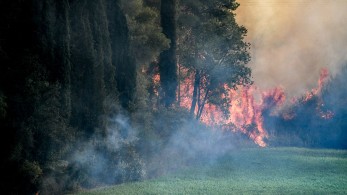 Πυρκαγιά στη Νέα Μανωλάδα Ηλείας