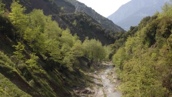 Διεθνής πιστοποίηση για την αποκατάσταση του ΤΟΕΒ Ταυρωπού