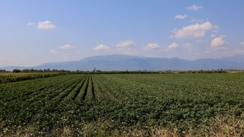 Υπουργείο Αγροτικής Ανάπτυξης: εκδόθηκε η πρόσκληση αγροτικής οδοποιίας για τους δήμους