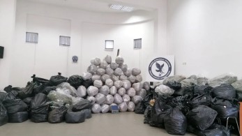 Αρκαδία: εντοπίστηκε φυτεία - Κατασχέθηκε από την ΕΛΑΣ ένας τόνος κάναβης