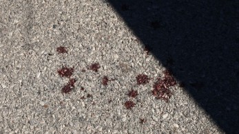 Μακελειό στην Κίνα: 21χρονος μαχαίρωσε μέχρι θανάτου 8 ανθρώπους - Τραυμάτισε 17