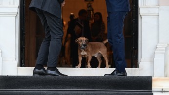 Τα χάδια του Ρούτε στον Πίνατ