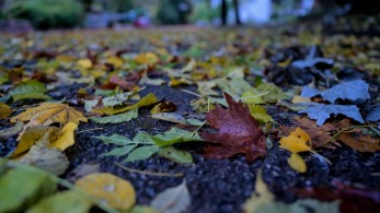 Καιρός: Απότομη πτώση έως και 10 βαθμών της θερμοκρασίας την Κυριακή