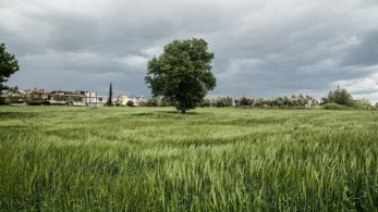 Στο χωριό χωρίς τον μπαμπά
