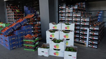 Φρούτα και λαχανικά για το εορταστικό τραπέζι από ΣΕΚΛΑ και ΟΚΑΑ