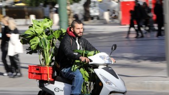 Survival of the fittest