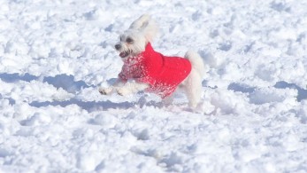 Κακοκαιρία Coral: από αύριο ανεβαίνει η θερμοκρασία, επιστρέφουν οι βροχές