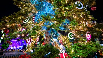 «Το Μανιφέστο» σάς εύχεται Καλά Χριστούγεννα