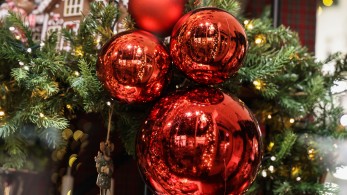 Χαρδαλιάς: «Το Πεδίον του Άρεως θα  είναι χριστουγεννιάτικο τοπόσημο»