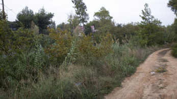 Στο ΕΣΠΑ η διευθέτηση της οριοθέτησης του ρέματος Ραφήνας