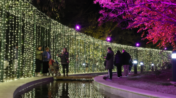 Περιφέρεια Αττικής: διασκέδαση και μάθηση στο Χριστουγεννιάτικο Χωριό