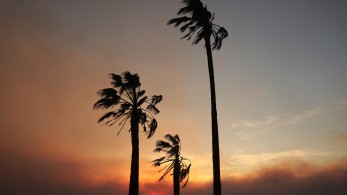 Φωτιές στο Λος Άντζελες: ακυρώθηκαν οι υποψηφιότητες των Όσκαρ, πρεμιέρες και εκδηλώσεις