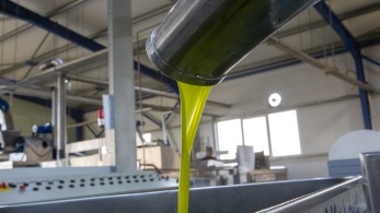 Χρίστος Δήμας: Δεν αλλάζει το status quo στη διακίνηση μικρής ποσότητας ελαιολάδου