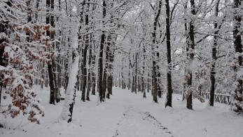 Καιρός: βροχές και χιόνια σε όλη τη χώρα - Συστάσεις στους πολίτες
