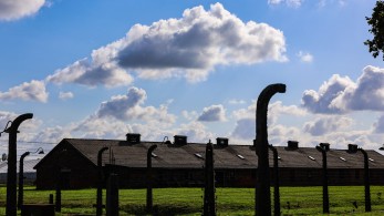 ΕΕ: φόρος τιμής στα θύματα του Ολοκαυτώματος - Εκδηλώσεις για την 80ή επέτειο απελευθέρωσης του Άουσβιτς