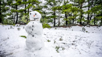Καιρός: βαλκανικός χιονιάς και πολική μάζα φέρνουν χιονοπτώσεις στην Ελλάδα