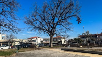 Πέθανε ο πρώην δήμαρχος Τρικάλων, Κωνσταντίνος Παπαστεργίου, πατέρας του υπουργού