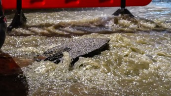 Ντσούνος για ΣΕΦ: «Μουσαμάδες και κουβάδες στο γήπεδο της κορυφαίας ομάδας της Ευρωλίγκας»