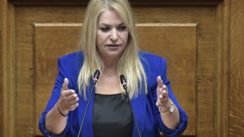 Άννα Μάνη: 200.000 στρέμματα θα ενταχθούν στην αντιχαλαζική προστασία από αέρος