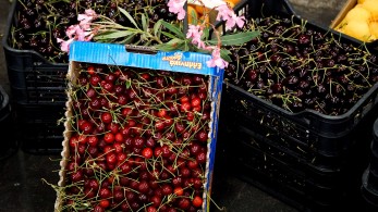 Μαθητές σχολείων στην Κεντρική Λαχαναγορά: Πρόγραμμα για την υγιεινή διατροφή