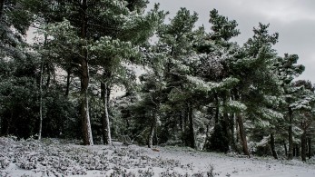 Καιρός: Κλειστή λόγω παγετού η Λεωφόρος Πάρνηθας - Πώς θα εξελιχθεί το φαινόμενο