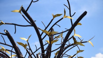 Τέμπη: Έγιναν τα αποκαλυπτήρια του «δέντρου των ψυχών» για τους  57 νεκρούς  [βίντεο & εικόνες]