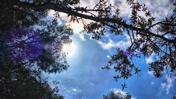 Ζέστη, αφρικανική σκόνη και ομίχλη - Η πρόγωνση Μαρουσάκη για τις επόμενες μέρες