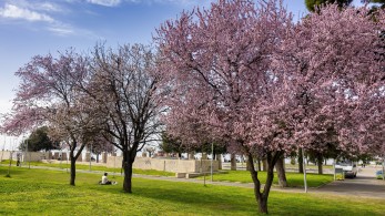 Καλοκαιρινό Σαββατοκύριακο με 30άρια και αφρικανική σκόνη