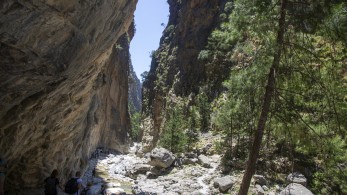 Διάσωση στο φαράγγι Σαμαριάς: 25χρονος Ολλανδός τραυματίστηκε από πτώση