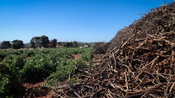 Ακαθάριστα οικόπεδα: έως 15 Ιουνίου η προθεσμία - Τα πρόστιμα που προβλέπονται
