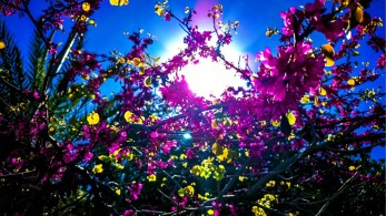 Καιρός: ηλιόλουστο Πάσχα αλλά βροχές και πτώση θερμοκρασίας από Τρίτη - Σε ποιες περιοχές