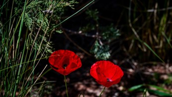 Το Πάσχα της ψυχής μας