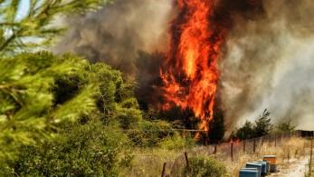 Φωτιά-Κεχριές: Ο Χαρδαλιάς ενεργοποιεί την υπηρεσία Copernicus