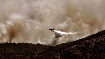 Στις 63 οι πυρκαγιές την Δευτέρα (27/7) – Μεγάλη κινητοποίηση στο Λασίθι