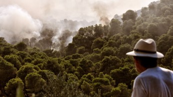 Καλά νέα από τις Κεχριές – Σε ύφεση η πυρκαγιά