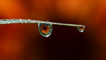 Καιρός: Ζέστη και τοπικές βροχές