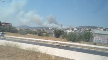 Κέρκυρα : Φωτιά σε δασική έκταση στην περιοχή Τσουκαλιό