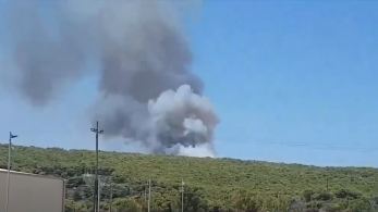 Φωτιά στο Λαύριο: Μάχη για να μην φτάσουν οι φλόγες στον εθνικό δρυμό του Σουνίου (vid)