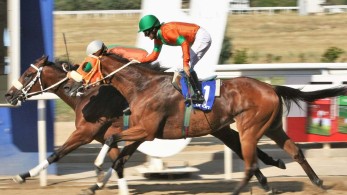 Markopoulo Park: Τρεις νικητές στο ΣΚΟΡ 6 κέρδισαν από 29.610,75 ευρώ