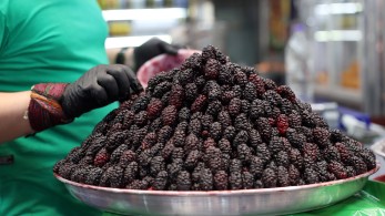 FRIETS & H2020 MSCA-RISE: Καινοτομία για τη γεωργία ακριβείας και τη διεθνή συνεργασία