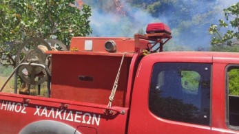 Φωτιά στη Ριτσώνα: Συνελήφθη 30χρονος - Μεγάλη κινητοποίηση από ξηρά και αέρα (video)