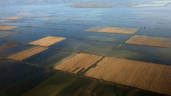 Αποζημιώσεις Daniel και Elias: έως 3 Ιουνίου οι αιτήσεις των παραγωγών