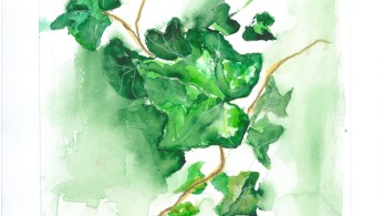 Στο Καφέ του Εθνικού Αρχαιολογικού Μουσείου τα «Ανθεστήρια» της Γεύσως Παπαδάκη