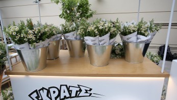 Λαμπερά γενέθλια σε floral σκηνικό για το TLIFE –Tο δώρο έκπληξη που πρόσφερε το ΣΚΡΑΤΣ στους καλεσμένους