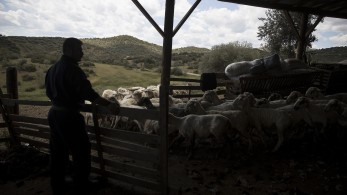 ΥΠΑΑΤ: Νέα εποχή διαφάνειας και αναδιοργάνωσης στον ΟΠΕΚΕΠΕ