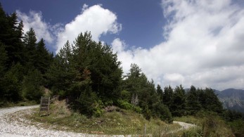 Δράμα: χωρίς τις αισθήσεις του εντοπίστηκε ο πεζοπόρος που δέχθηκε επίθεση από αρκούδα